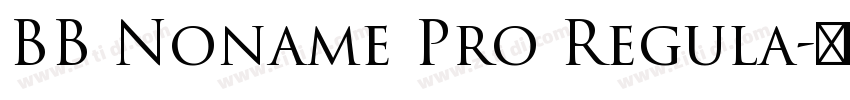 BB Noname Pro Regula字体转换